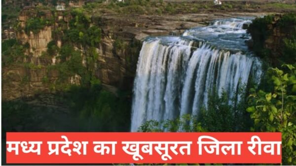 rewa me ghumne ki jagah